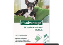 Advantage Flea Treatment for Small Dogs: The Ultimate Buyers Guide
