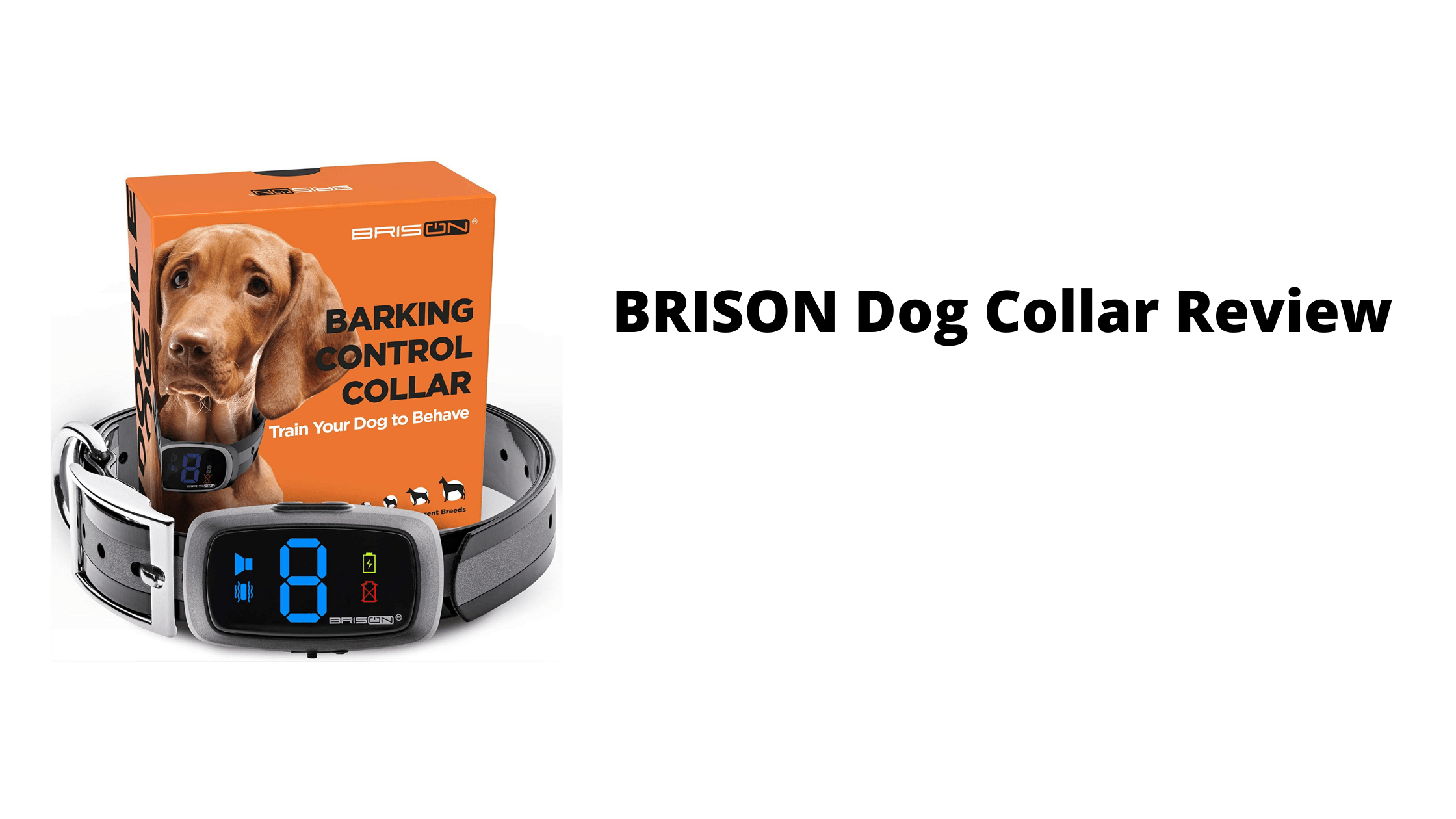 BRISON Dog Collar Review