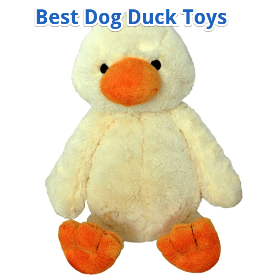 best dog duck toys