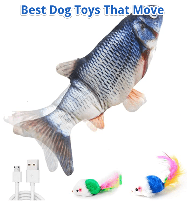 best dog toys that move