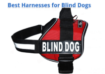 Harnesses for Blind Dogs