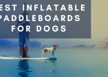Top 5 Best Inflatable Paddleboards for Dogs (2022)