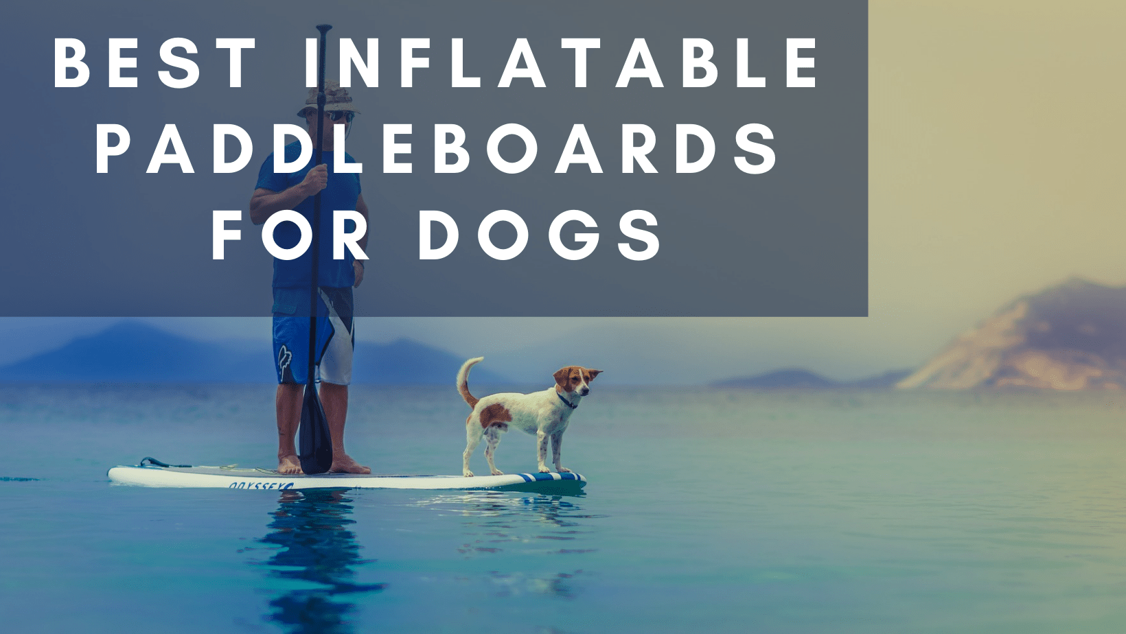 Best Inflatable Paddleboards for Dogs