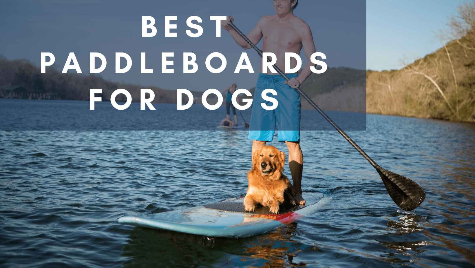 Best Paddleboards for Dogs