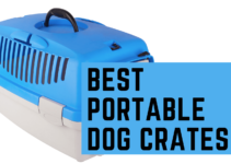 Top 10 Portable Dog Crates (2022)