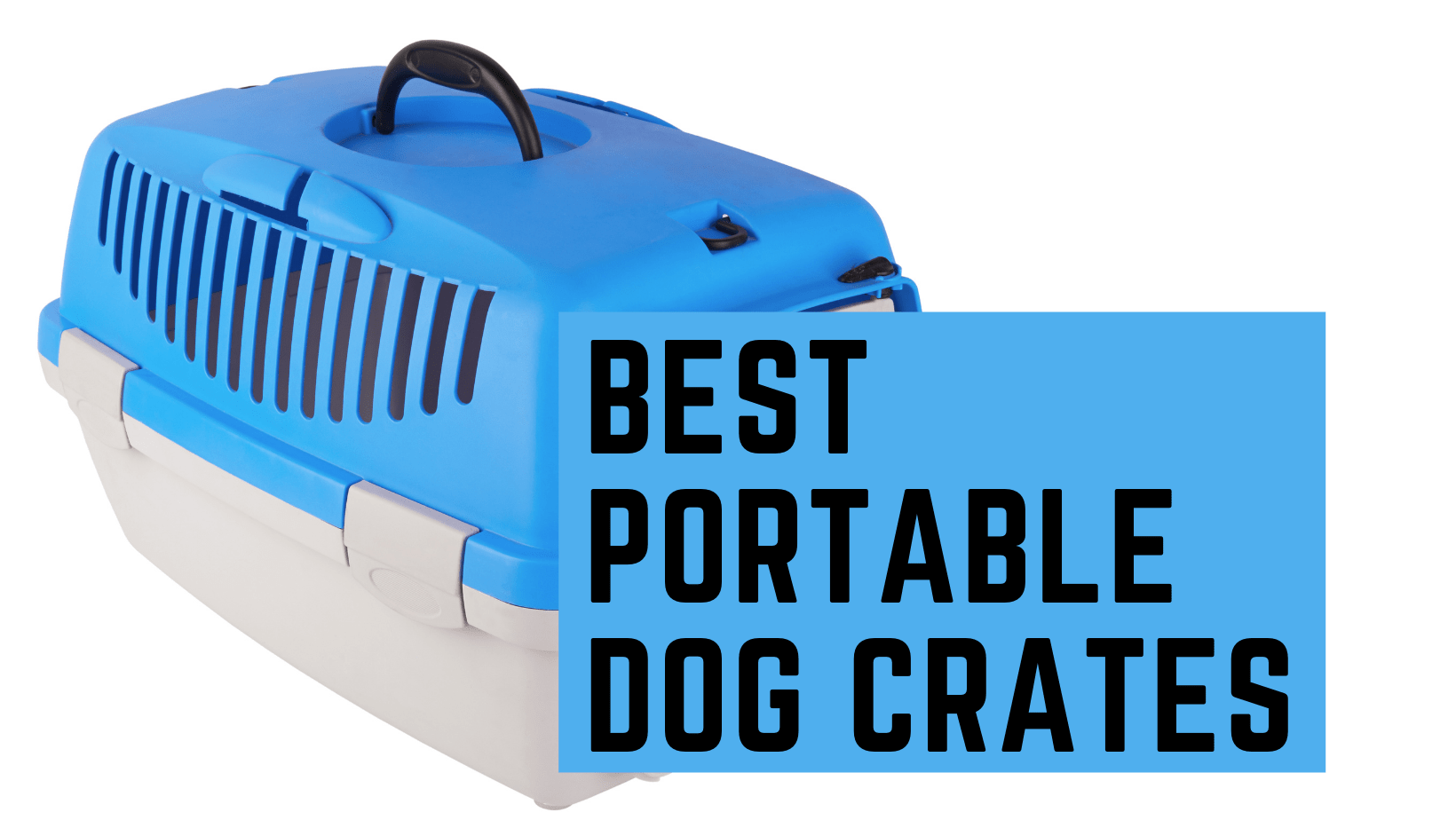 Best Portable Dog Crates