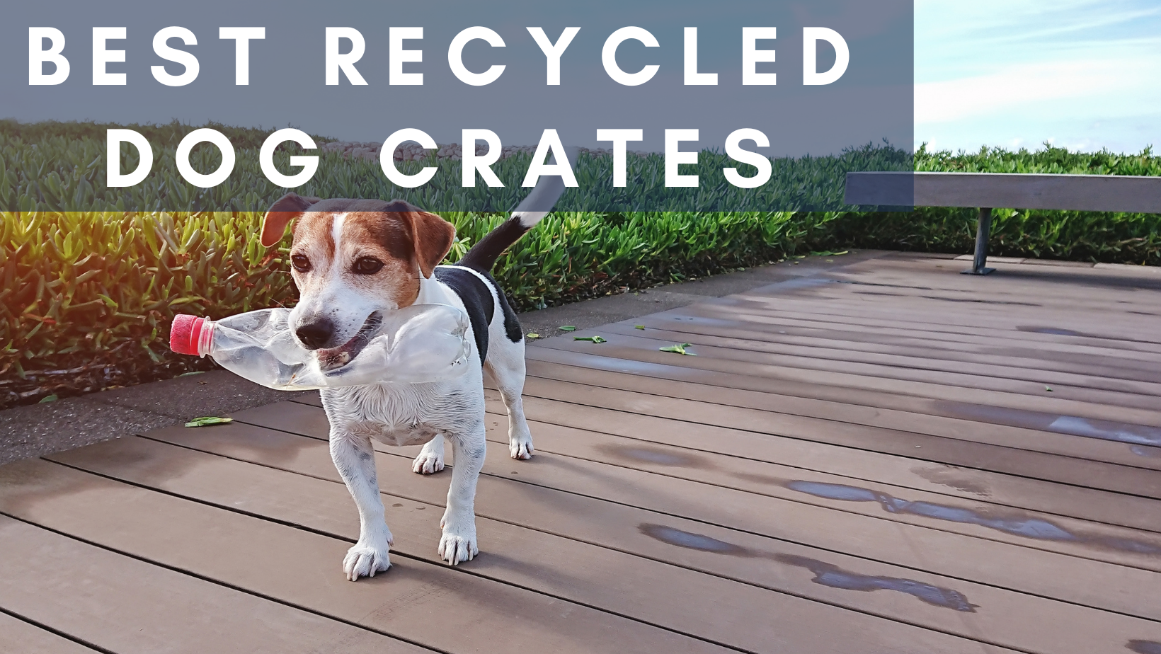 Best Recycled Dog Crates