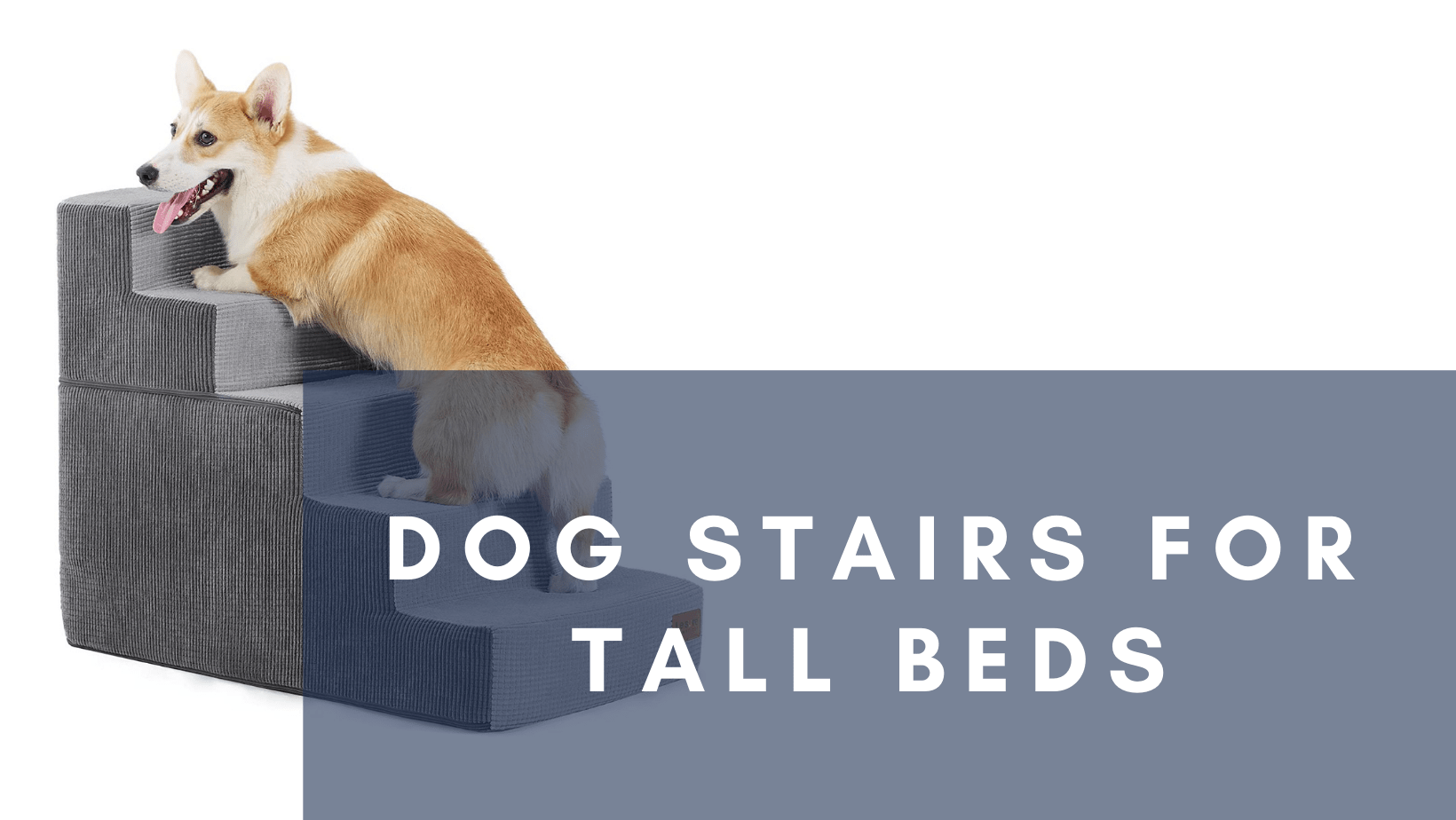 Best Dog Stairs for Tall Beds