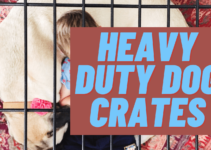 Best Heavy Duty Dog Crates (2022)