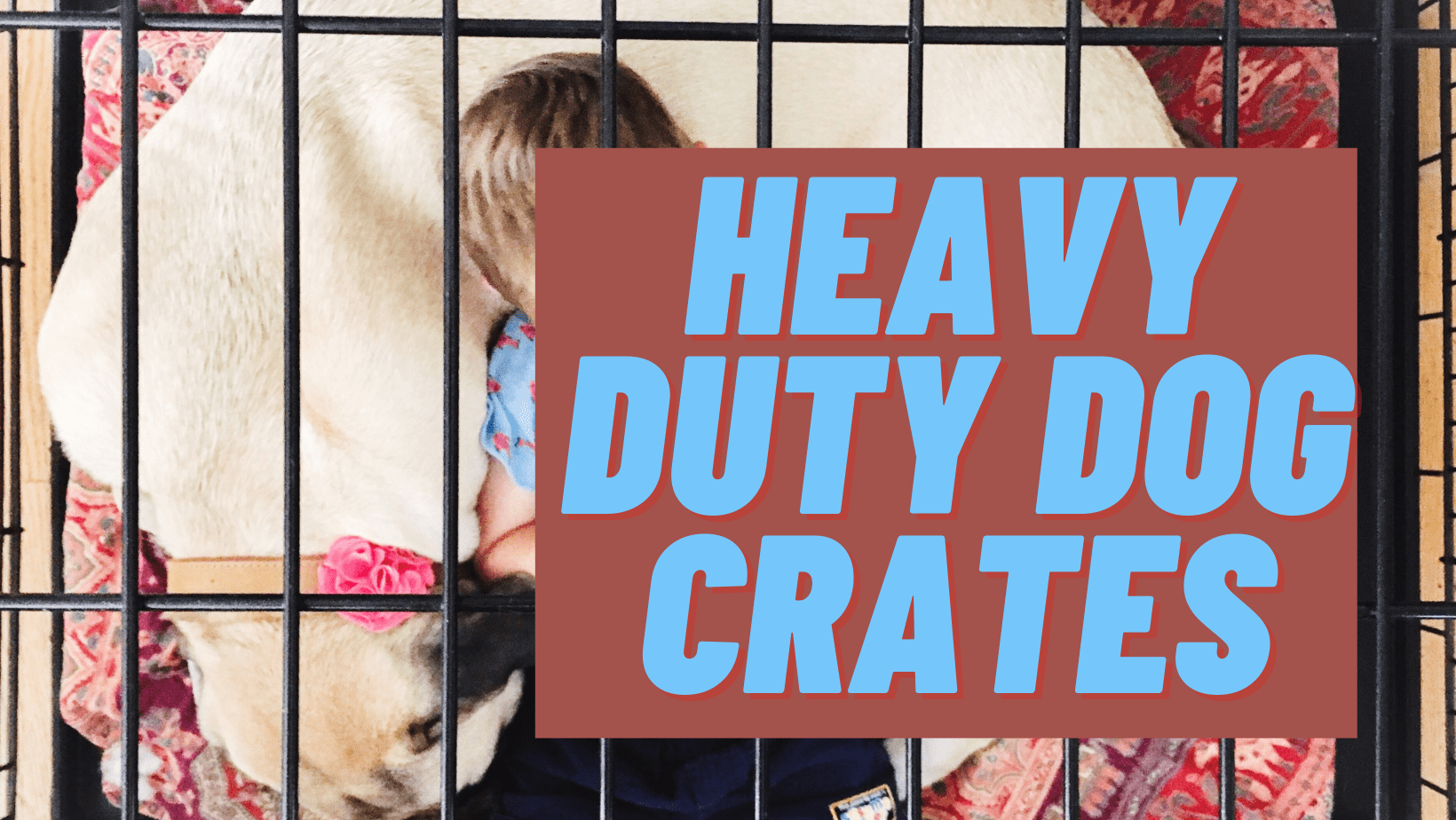 Heavy Duty Dog Crates
