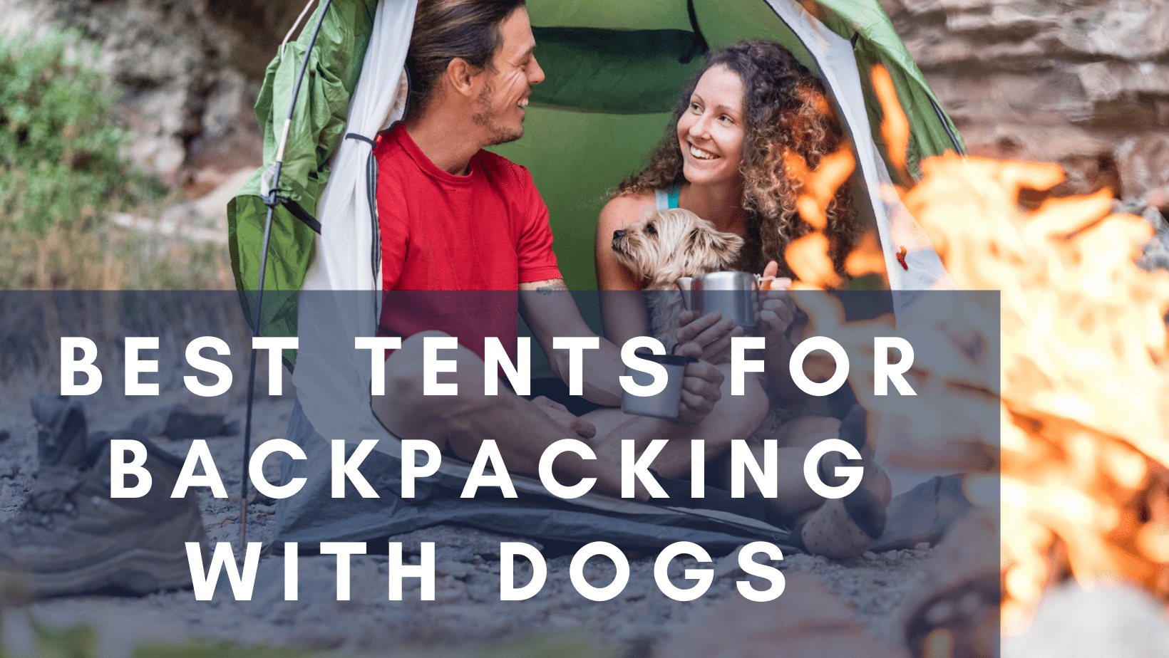 Best Tents for Backpacking with Dogs