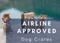 Airline Approved (IATA Compliant) Dog Crates (2022)