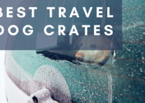 Top 10 Best Travel Dog Crates (2022)