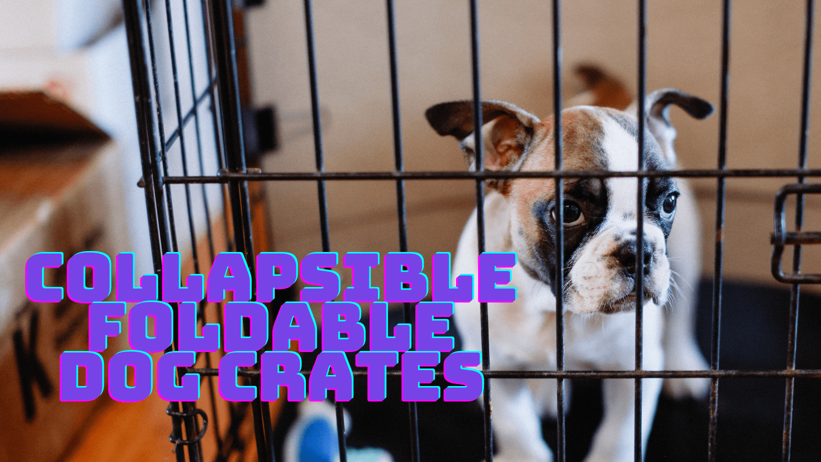 collapsible foldable dog crates