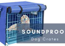 Best Soundproof Dog Crates (2022)