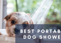 Top 10 Best Portable Dog Showers (2022)