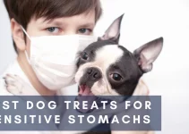 Top 10 Best Dog Treats for Sensitive Stomachs (2022)