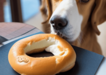 Can Dogs Eat Bagels? Is it Safe for Dogs to Eat Bagels?