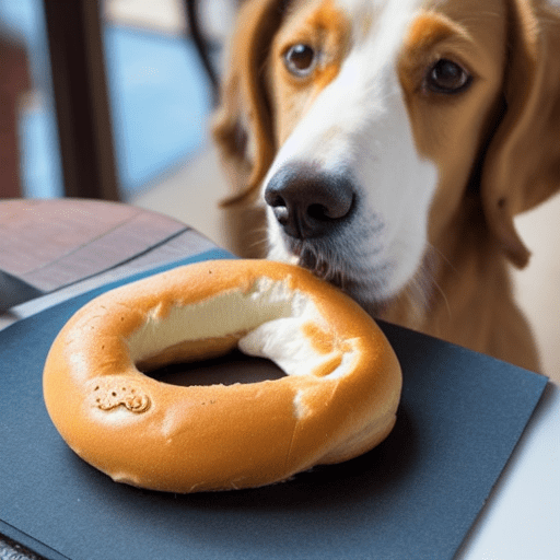 picture of a dog staring at a bagel