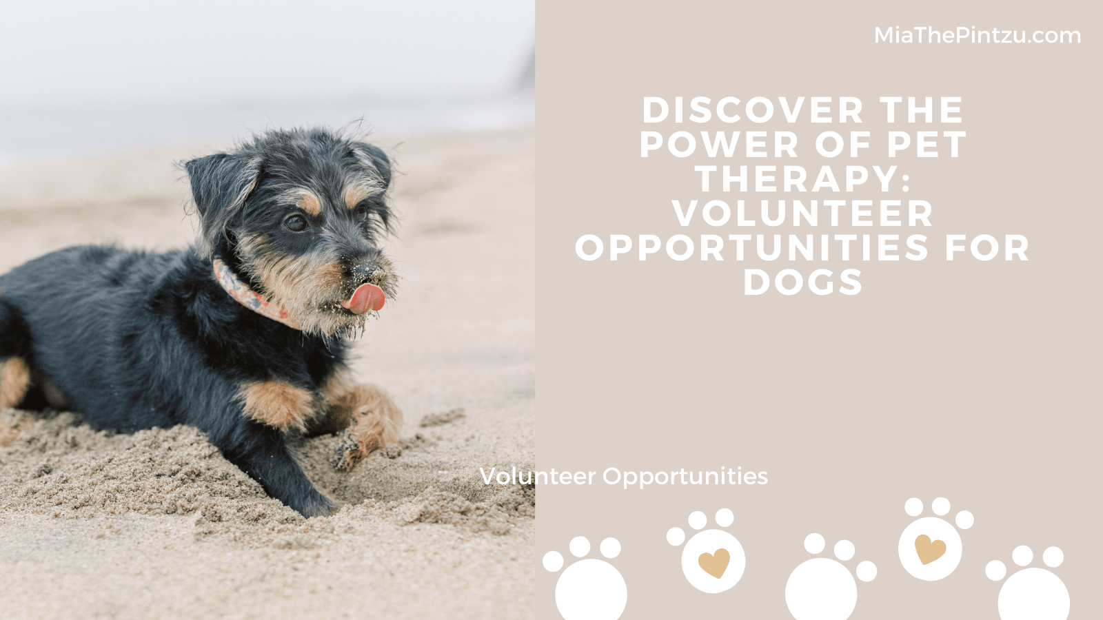 Discover the Power of Pet Therapy: Volunteer Opportunities for Dogs