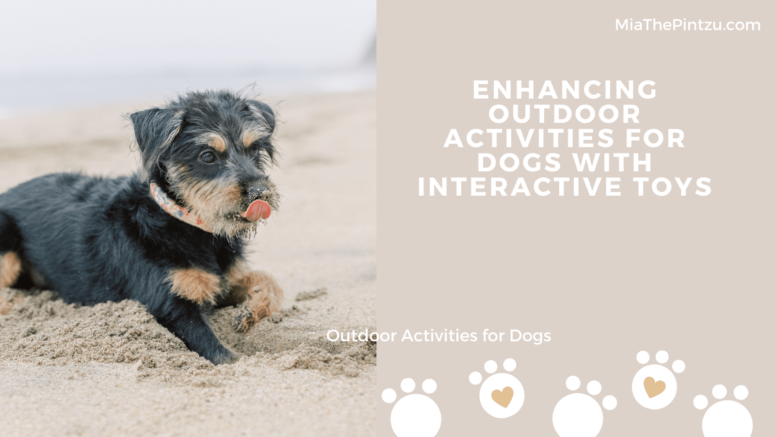 Enhancing Outdoor Activities for Dogs with Interactive Toys