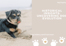 Historical Insights: Uncovering Dog Evolution