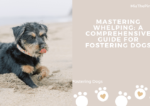 Mastering Whelping: A Comprehensive Guide for Fostering Dogs