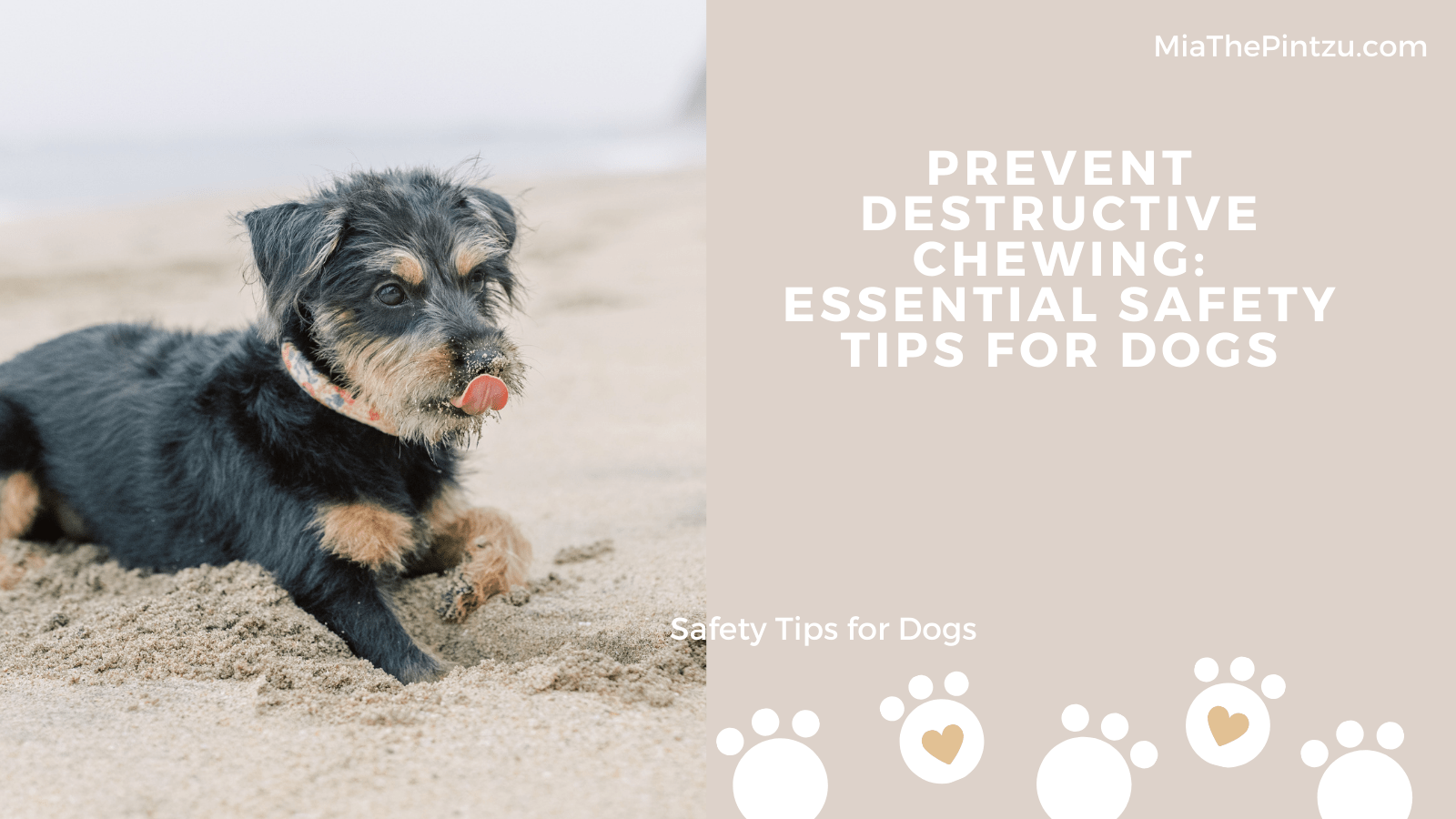 Prevent Destructive Chewing: Essential Safety Tips for Dogs