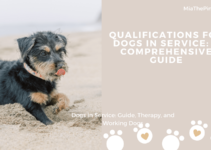 Qualifications for Dogs in Service: A Comprehensive Guide