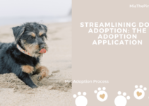 Streamlining Dog Adoption: The Adoption Application
