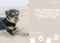 The Power and Symbolism of Dogs’ Noses in Literature