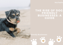 The Rise of Dog-Friendly Businesses: A Guide