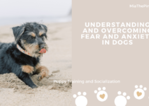 Understanding and Overcoming Fear and Anxiety in Dogs